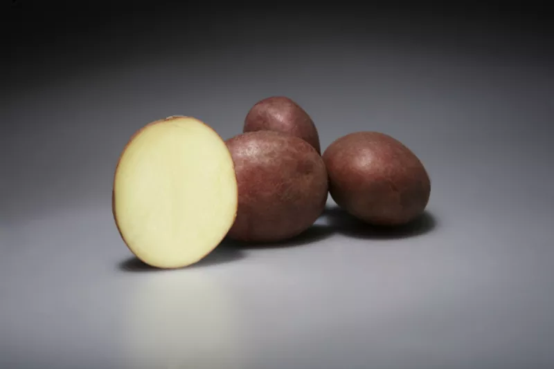 Немецкий семенной картофель 4