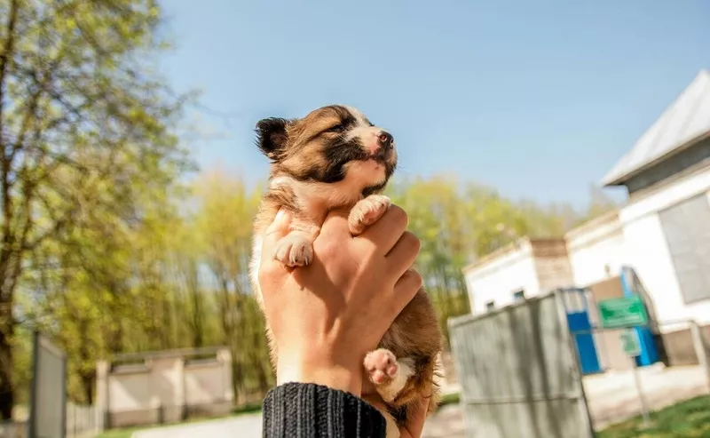 Малышечка в поисках любящих родителей! 2