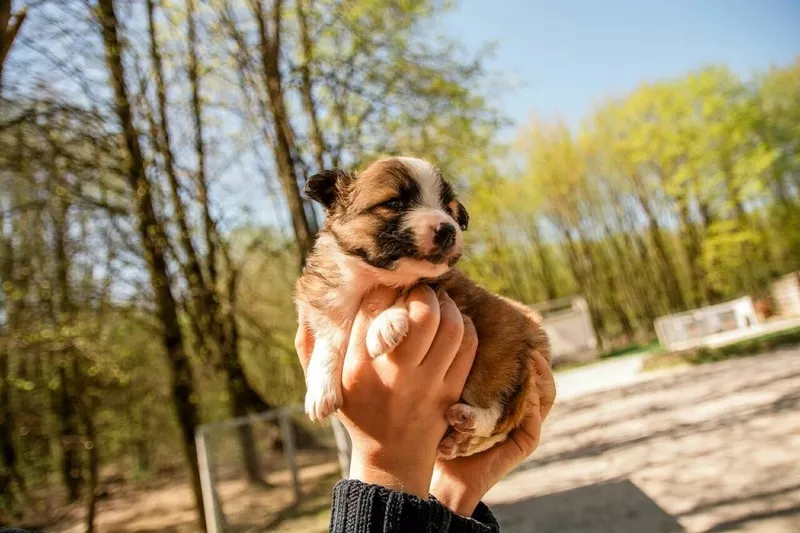 Малышечка в поисках любящих родителей! 3