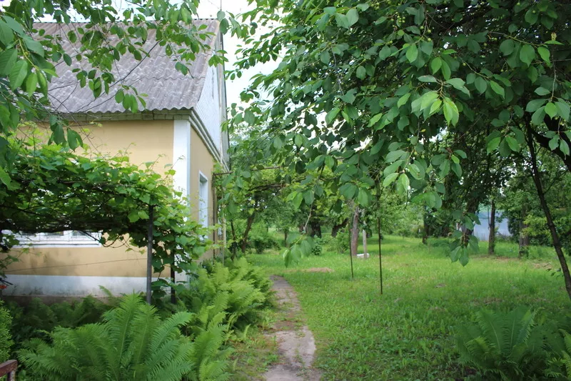 Продам дом в Гродненском районе недалеко от города Гродно 4